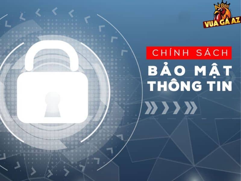 Chính sách thu thập thông tin của Vua Gà AZ Chính sách thu thập thông tin của Vua Gà AZ
