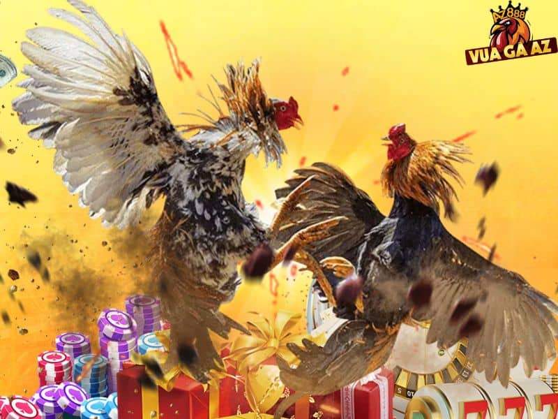 Những điều khoản chung khi tham gia nhà cái