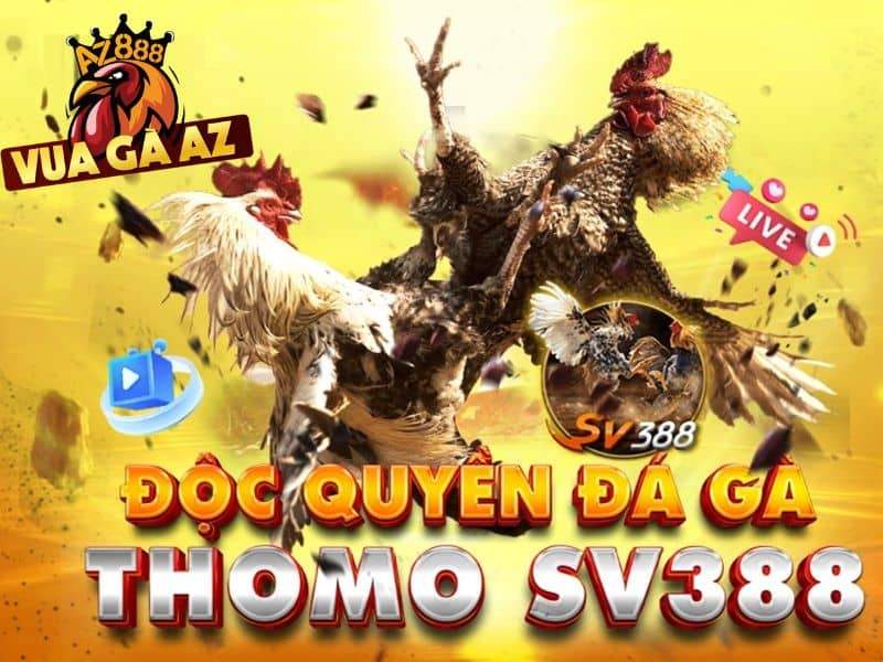 Vua Gà AZ đảm bao sự minh bạch và uy tín