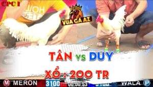 Trận 6 CPC1 Ngày 18/05/2024 - Anh Duy Và Anh Tân Xổ Đá 200