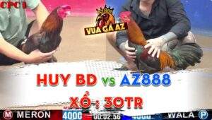 Trận 14 CPC1 15/06/2024 - Gà AZ888 Bất Bại, Chuỗi Thắng Thứ 4