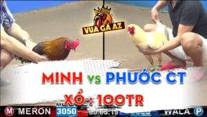 Trận 14 CPC3 13/06/2024 - Anh Phước CT Bất Bại Ở Trạng Dưới 3KG