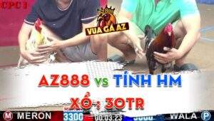 Trận 17 CPC1 15/06/2024 - Gà AZ888 Quá Đẳng Cấp, Chuỗi Thắng Thứ 5