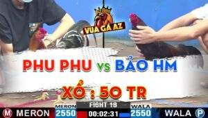 Trận 18 CPC3 25/06/2024 - Gà Phu Phu Té, Về Bình Dương Bán Nước Tương