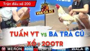 Trận 9 CPC3 13/06/2024 - Gà Anh Ba Trà Cú Cắn Chủ Và Cái Kết