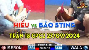 Trận 18 CPC2 27/09/2024 - Gà Anh Bảo Sting Đá Chỉ 1 Nốt Nhạc