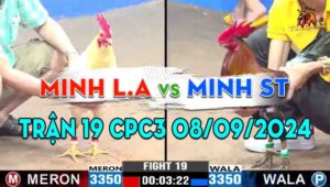 Trận 19 CPC3 08/09/2024 - Minh Long An Đụng Độ Minh Sóc Trăng