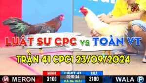 Trận Giải 41 CPC3 28/09/2024 - Anh Luật Sư Campuchia Và Anh Toàn Vũng Tàu