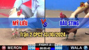 Trận 2 CPC2 13/10/2024 - Kinh Nghiệm Thả Gà Dày Dặn Của Chú Mỹ Hạ Idol