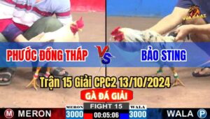 Trận 15 Giải CPC2 13/10/2024 giữa anh Bảo Sting và anh Phước Đồng Tháp