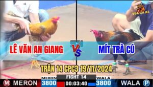 Trận 14 CPC3 19/11/2024 - Xanh Râu Của Anh Mít Bị Đưa Anh Em Đi Xa