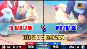 Trận 53 CPC3 19/11/2024 - Anh Mít Trà Cú Cản Đương Anh Tư Cao Lãnh