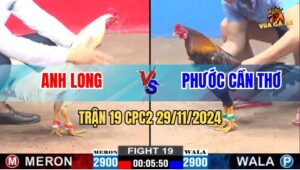 Trận 19 CPC2 29/11/2024 - Anh Long Bất Bại 5 Trận Liên Tiếp
