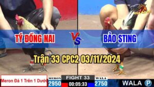 Trận 33 CPC2 03/11/2024 giữa anh Bảo Sting và anh Lượm