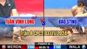 Trận 8 CPC2 03/11/2024 giữa anh Tuấn Vĩnh Long và anh Bảo Sting