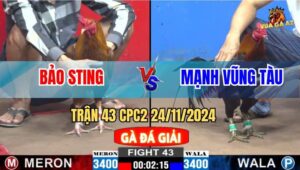 Trận 43 CPC2 24/11/2024 - Anh Tèo Thả Gà Dùm Anh Bảo Sting Vẫn Thua
