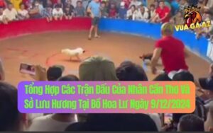 Kèo Hẹn Xổ 500 Giữa Sở Lưu Hương Và Nhân Cân Thơ Tại Bồ Hoa Lư