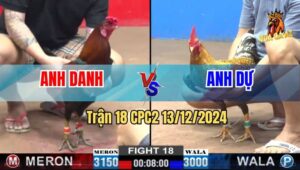 Trận 18 CPC2 13/12/2024 - Bảo Sting Có Pha Sửa Gà Lật Ngược Tình thế