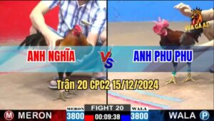 Trận 20 CPC2 15/12/2024 - Gà Anh Phu Phu Bị Đá Chạy Không Kịp