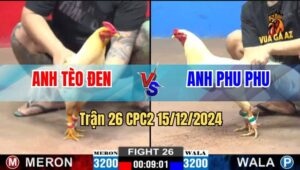 Trận 26 CPC2 15/12/2024 - Anh Phu Phu Rớt Nài Với Anh Tèo, Tỷ Số 3 -1