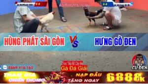 Trận 3 Giải Bồ Cây Me 30/12/2024 - Anh Hùng Phát Và Anh Hưng Gò Đen