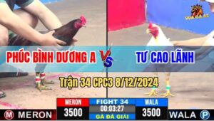 Trận 34 CPC3 8/12/2024 - Anh Phúc Bình Dương A Và Anh Tư Cao Lãnh