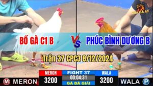 Trận 37 CPC3 8/12/2024 - Bồ Gà C1 B Và Anh Phúc Bình Dương B
