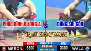 Trận 51 CPC3 8/12/2024 - Anh Phúc Bình Dương A Và Anh Dũng Sài Gòn