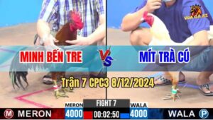 Trận 7 CPC3 8/12/2024 - Gà Anh Mít Trà Cú Đá Đâm Như Chỉa