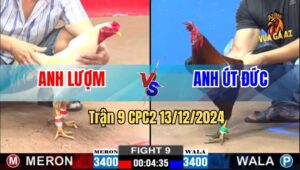 Trận 9 CPC2 13/12/2024 - Anh Bảo Sting Nài Gà Hay Lại Còn Mai Độ