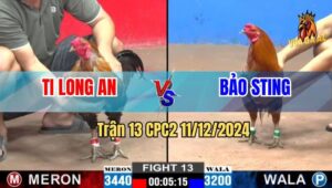 Trận 13 CPC2 11/12/2024 - Gà Ti Long An Phục Thù Thành Công Bảo Sting