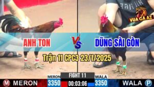 Trận 11 CPC3 23/1/2025 - Anh Ton Phục Thù Anh Dũng Sài Gòn Thành Công