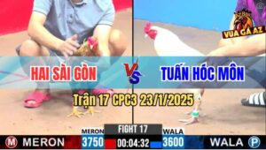 Trận 17 CPC3 23/1/2025 - Cú Bắt Hoa Bắt Bướm 1 Bát Có Kết Quả
