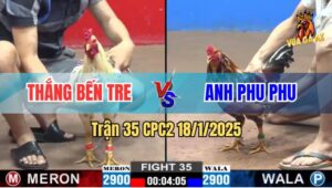 Trận 35 CPC2 19/1/2025 - Anh Phu Phu Đi 2 Con Chạy 1 Cặp