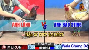 Trận 47 CPC2 5/1/2025 - Anh Bảo Sting Tiếp Tục Phản Kèo Đưa AE Về Bờ