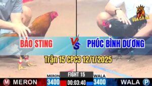 Trận 15 CPC3 12/1/2025 - Anh Bảo Sting Đối Đầu Chú Phúc Bình Dương
