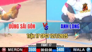 Trận 17 CPC3 12/1/2025 - Gà Khét Dũng Sài Gòn Đá Đối Thủ Quẹo Cổ Cần