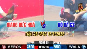 Trận 25 CPC3 12/1/2025 - Anh Giang Đức Hoà Lụm Xổ Bồ Gà C2