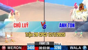 Trận 28 CPC3 12/1/2025 - Gà Úa Chú Lũy Chuyển Bại Thành Thắng Phút 90
