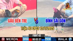 Trận 43 CPC3 12/1/2025 - Điều Mật Anh Bình Đá Lật Xe Gà Anh Gấu