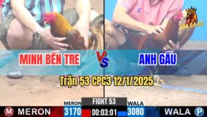 Trận 53 CPC3 12/1/2025 - Khét Đâm Điều Dính Tang Nặng Ói Chết Tại Chỗ