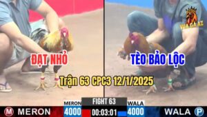 Trận 63 CPC3 12/1/2025 - Anh Đạt Nhỏ Lụm Xổ Anh Tèo Bảo Lộc