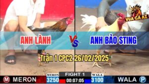 Trận 1 CPC2 26/2/2025 - Anh Bảo Sting Ra Quân Bị Đá Bung Bồ