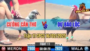 Trận 11 CPC3 16/2/2025 - Anh Dự Bảo Lộc Bị Phản Phút 89, Biện Đi Xa