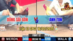 Trận 12 CPC3 16/2/2025 - Anh Tèo Cay Đáng Thả Gà Dùm La Miệng Bỏ Chạy