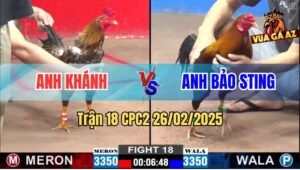 Trận 18 CPC2 26/2/2025 - Gà Điều Anh Bảo Sting Phút 89 Có Chân Xạo Lờ