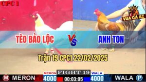 Trận 19 CPC1 22/2/2025 - Anh Tèo Bảo Lộc Chỉ Hừng Khi Thả Gà Dùm