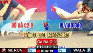Trận 31 CPC1 22/2/2025 - Gà Bướm BLV AD Báo Bung Bồ Chạy