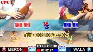 Trận 36 CPC1 8/2/2025 - Anh Nhí Cắt Đứt Chuỗi Bất Bại Của Anh An
