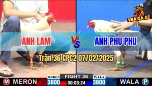 Trận 36 CPC2 7/2/2025 - Gà Úa Anh Lam Đá 1 Bát Gà Anh Phu Phu Bỏ Mạng